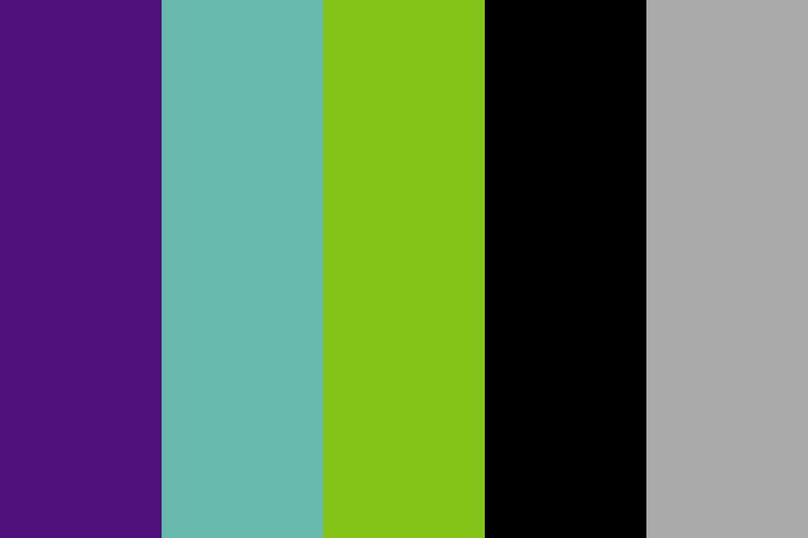 NAPFA Brand Colors color palette