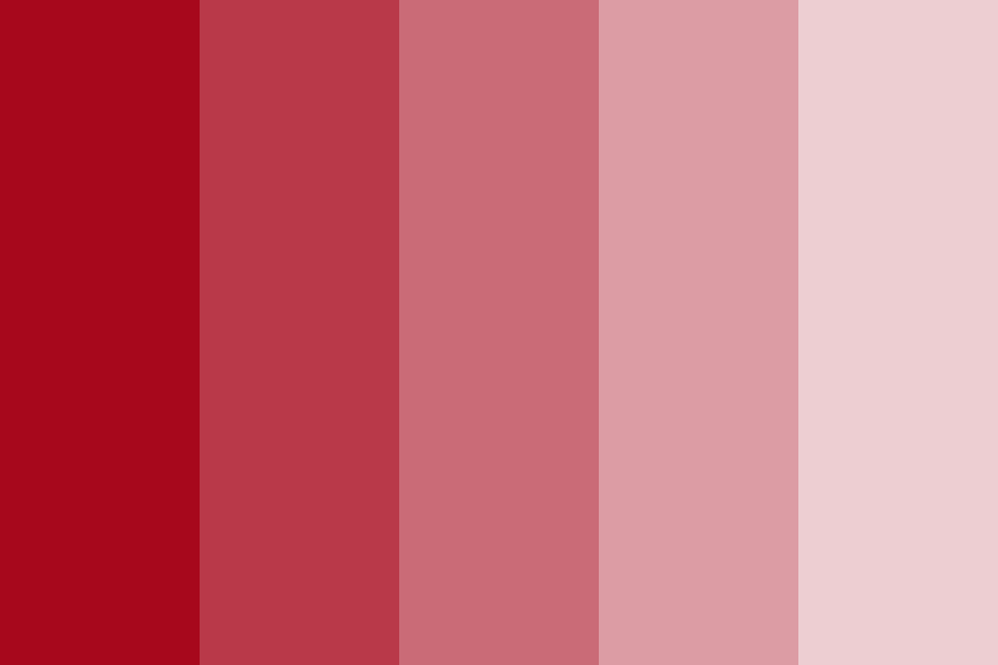 Quinacridone Rose Deep Color Palette