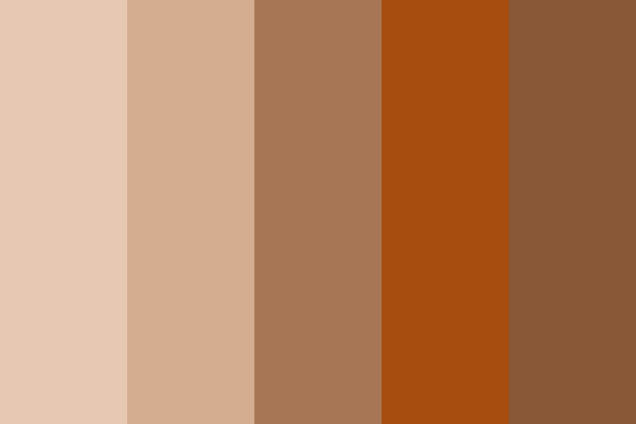 Brown Nude Orange Color Palette