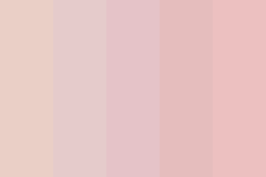 baby rose Color Palette