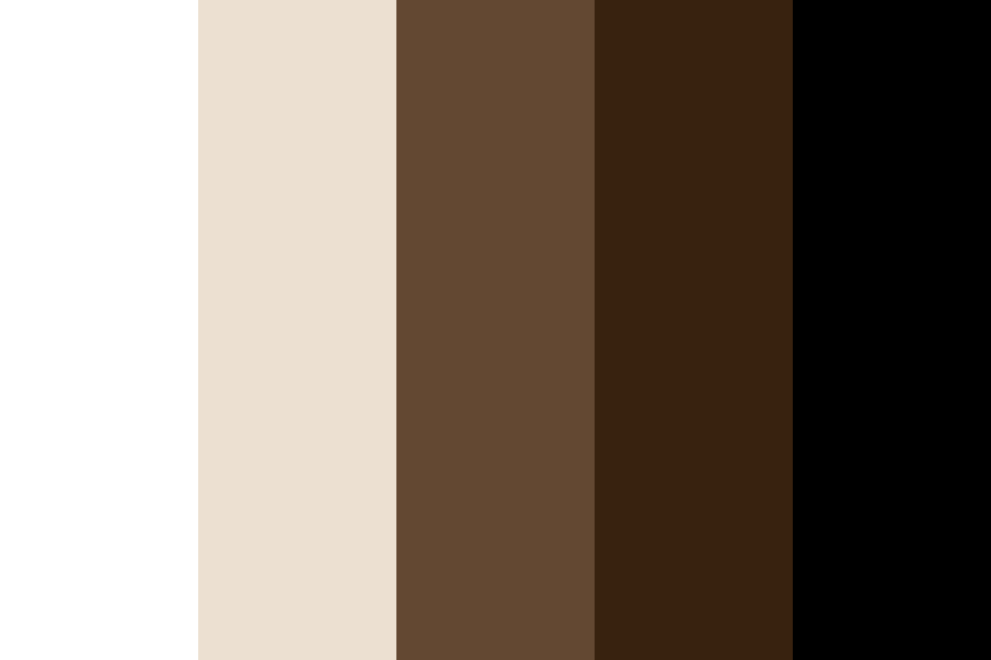 White Brown Black Outfit 2021 Color Palette