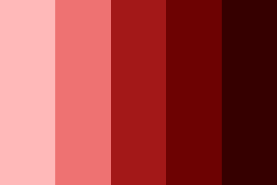 Red rose Wine Color Palette