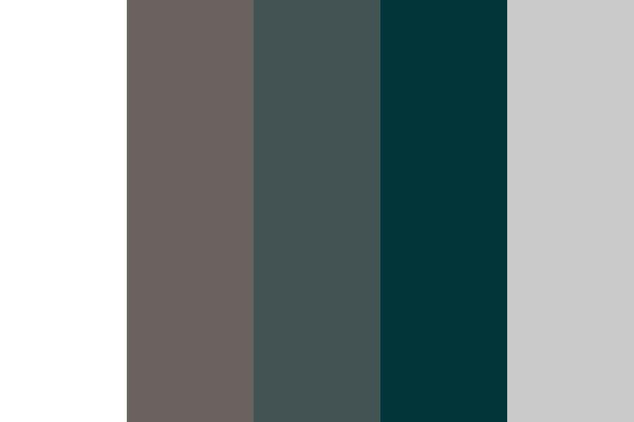 Contemporary House Color Palette