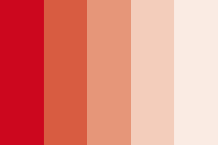 RWTH-Rot Color Palette