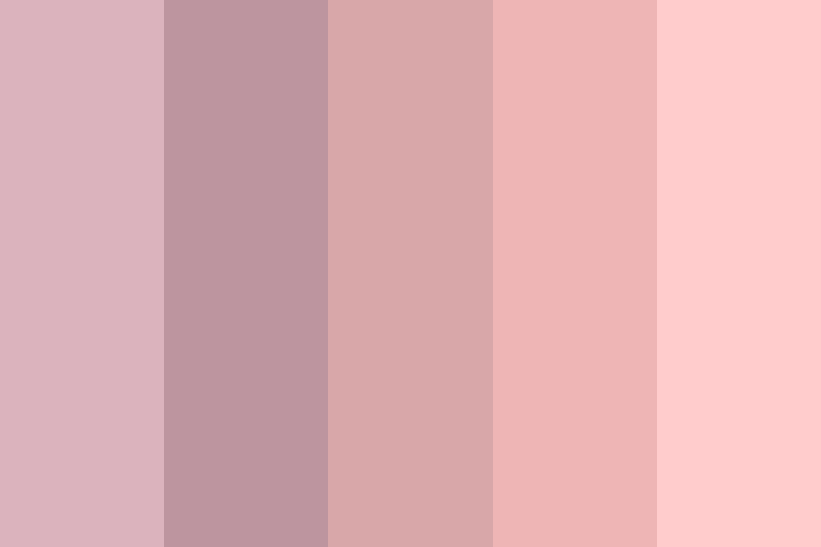 rose dust Color Palette