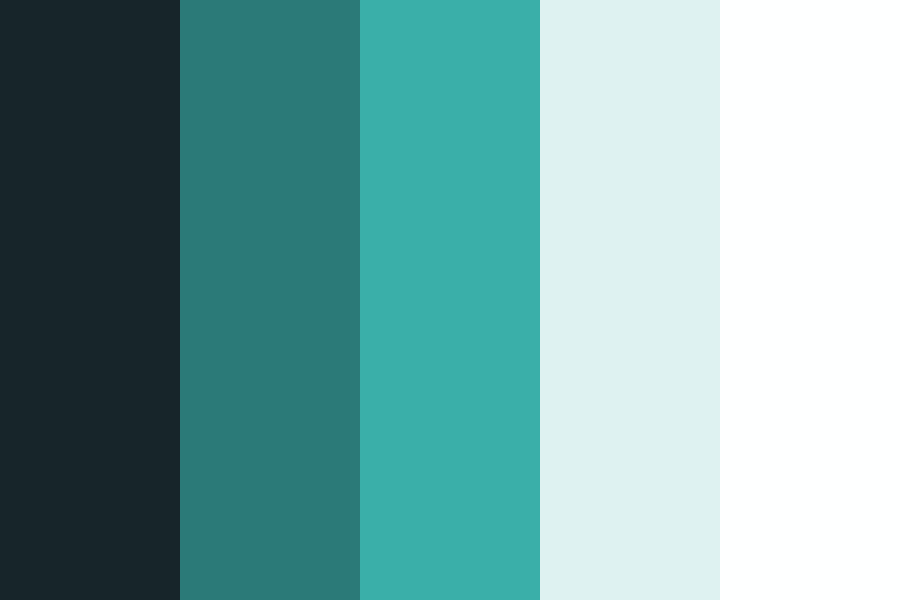 Modern Contemporary Color Palette