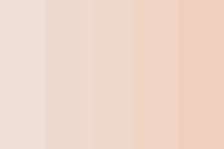 Pale Pink Skin Color Palette
