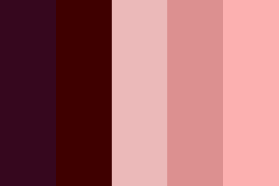 Darker rose Color Palette