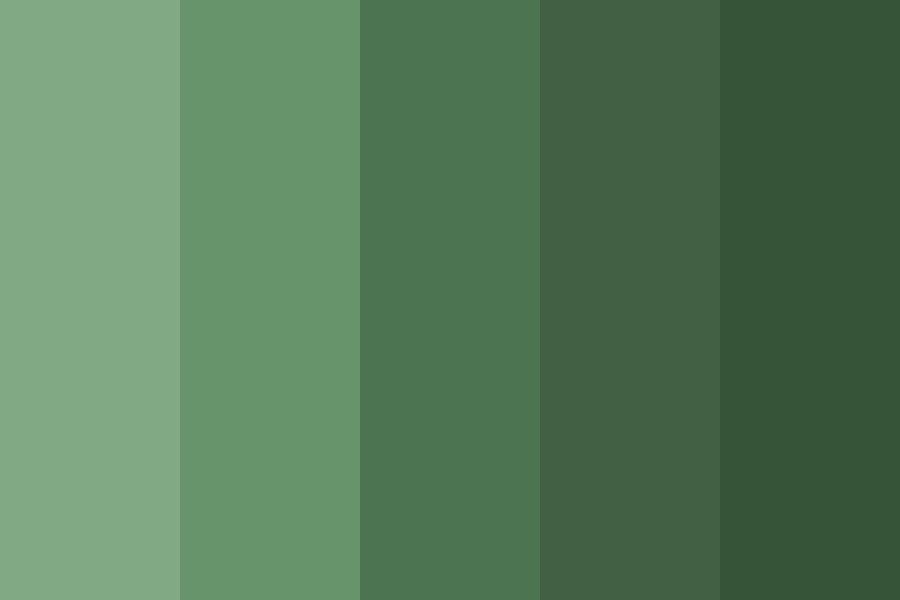 Dark Green Moss Color Palette