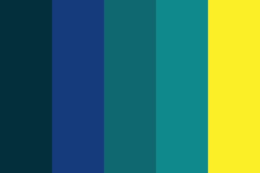Charlotte Hornets Color Palette