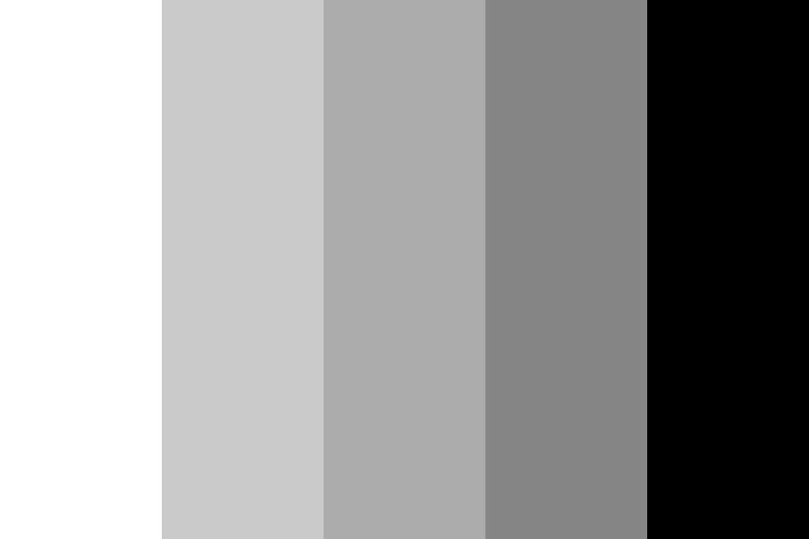 My Monochrome Grey Instagram Palette Color Palette