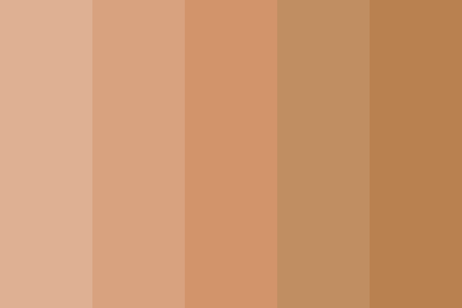 medium skin Color Palette