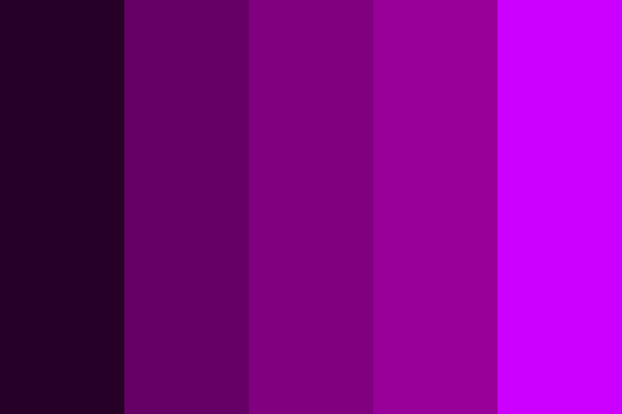 purple kings color palette