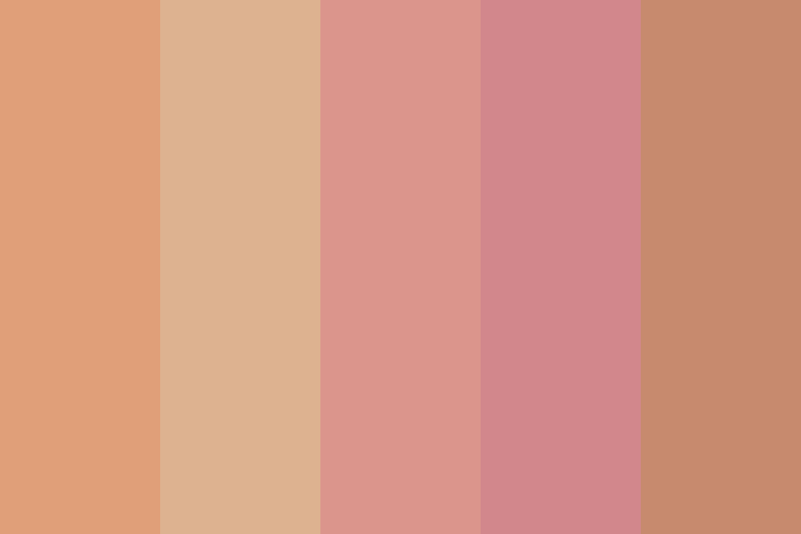 Rosy Skin Colours Color Palette