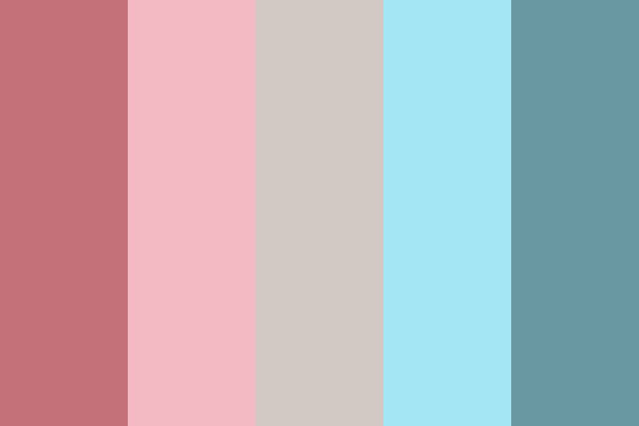concept 5 color palette