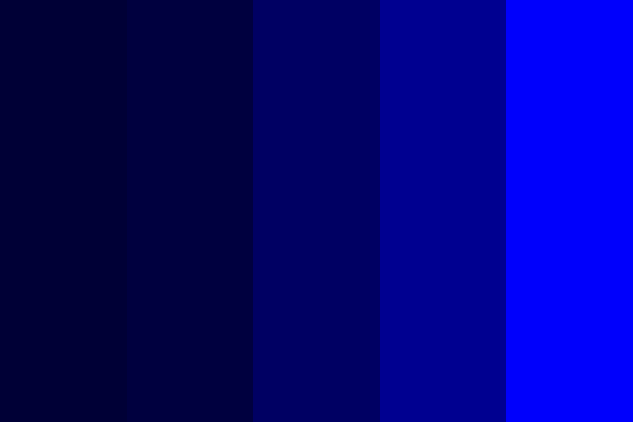 Root 9 to Navy blue Color Palette