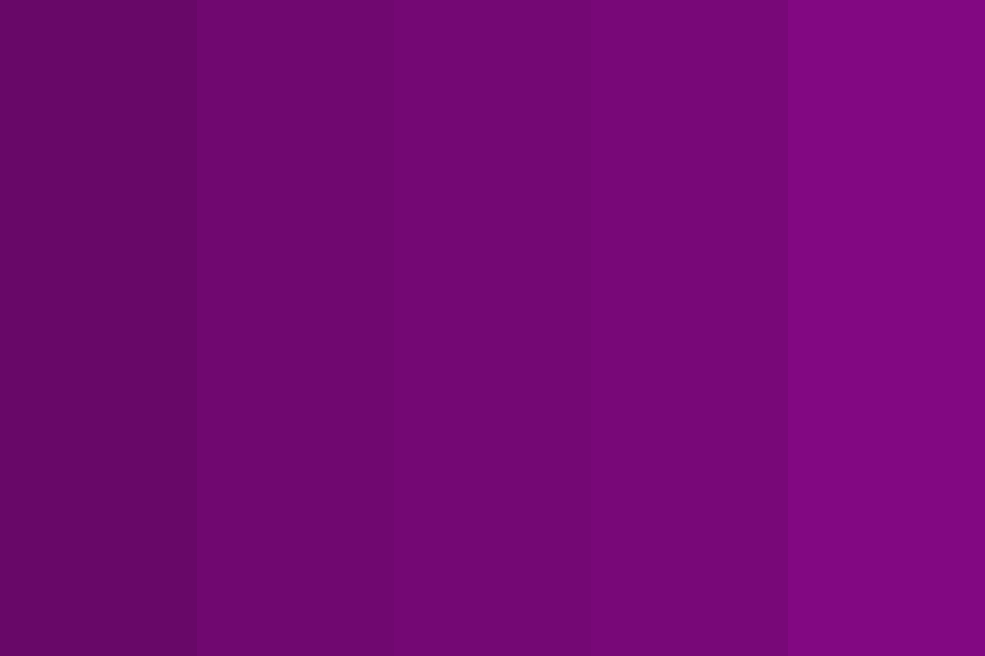 Rich Royal Purple Color Palette